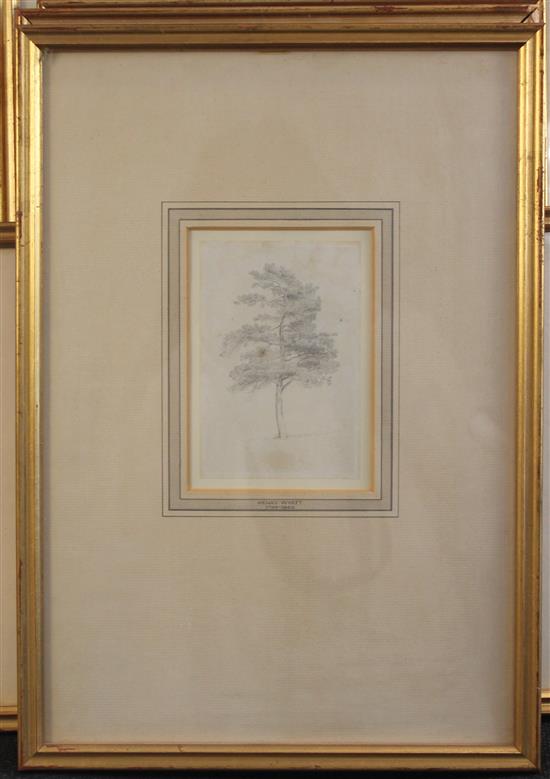 Henry Wyatt (1794-1840) Landscapes, trees and botanical studies, largest 7 x 4.25in., in 6 frames